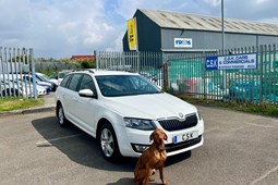 Skoda Octavia Estate (13-20) 1.6 TDI CR SE 4x4 5d For Sale - CSK Cars And Commercials, Swansea