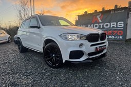 BMW X5 4x4 (13-18) xDrive30d M Sport (7 Seat) 5d Auto For Sale - RW MOTORS Ltd, Portadown