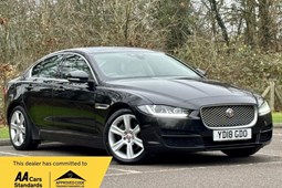 Jaguar XE (15 on) 2.0d (180bhp) Portfolio 4d Auto For Sale - Thatchers (motors Uk) Ltd, Farnham