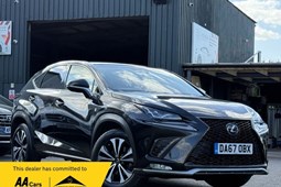 Lexus NX (14-21) 300h F-Sport auto (11/2017 on) 5d For Sale - XENON AUTOMOTIVE LTD, Welwyn Garden City