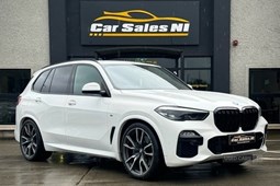 BMW X5 4x4 (18 on) xDrive30d M Sport Sport Automatic 5d For Sale - Car Sales NI Ltd, Omagh