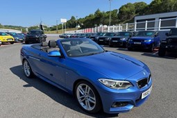 BMW 2-Series Convertible (15-21) 220i M Sport 2d Step Auto For Sale - Castle Motors (Trebrown), Liskerd