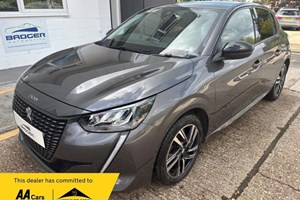 Peugeot 208 Hatchback (19 on) 1.2 PureTech 100 Allure Premium + 5dr EAT8 For Sale - Badger Automotive Ltd, Uckfield