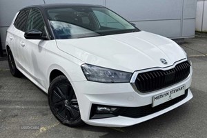 Skoda Fabia Hatchback (21 on) 1.0 TSI 110 Colour Edition 5dr DSG For Sale - Mervyn Stewart, Belfast