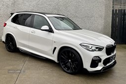 BMW X5 4x4 (18 on) xDrive30d M Sport Sport Automatic 5d For Sale - Devine Cars, Strabane