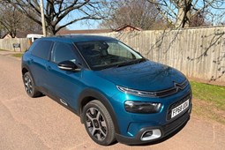 Citroen C4 Cactus Hatchback (18-20) Flair BlueHDi 100 S&S (06/2018 on) 5d For Sale - Devon Car Services, Exeter