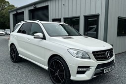 Mercedes-Benz M-Class (12-15) ML350 CDi BlueTEC AMG Sport 5d Auto For Sale - JPM Motors Ltd, Armagh