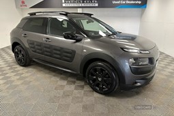 Citroen C4 Cactus (14-18) 1.2 PureTech (82bhp) Flair 5d ETG For Sale - Fusco Vehicle Sales, Bangor