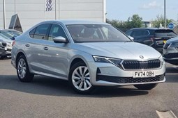 Skoda Octavia Hatchback (20 on) 1.5 TSI 150 e-TEC First Edition 5dr DSG For Sale - D M Keith SKODA Grimsby, Grimsby