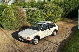 Ford Fiesta (89-97) 1.6 XR2i 3d For Sale - Silverbrookes, Hassocks, Brighton