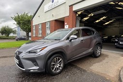 Lexus NX (14-21) 300h 2.5 CVT 2WD 5d For Sale - Carrera Specialist Cars, Glasgow