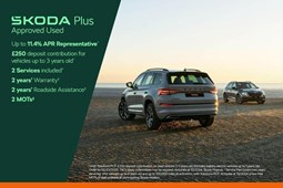 Skoda Karoq SUV (17 on) 2.0 TDI [150] SE L 5dr For Sale - Sinclair Skoda Swansea, Penllergaer