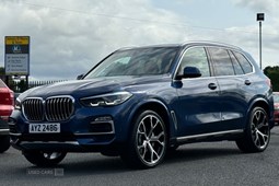 BMW X5 4x4 (18 on) xDrive30d xLine Sport Automatic 5d For Sale - James O'Hara & Sons Motors, Limavady