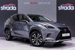 Lexus NX (14-21) 300h 2.5 CVT 2WD 5d For Sale - Strada Cars, Stockton on Tees