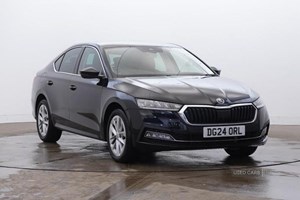 Skoda Octavia Hatchback (20 on) 2.0 TDI 150 SE L DSG 5d For Sale - John Mulholland Skoda Randalstown, Randalstown