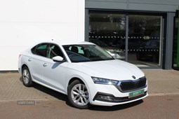 Skoda Octavia Hatchback (20 on) 1.5 TSI SE L 5d For Sale - John Mulholland Skoda Randalstown, Randalstown
