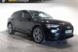Audi E-Tron SUV (19-22) Launch Edition 55 265kW Quattro auto 5d For Sale - Bells Crossgar, County Down