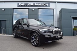 BMW X5 4x4 (18 on) xDrive30d M Sport Sport Automatic 5d For Sale - Paul Williamson Cars Ltd, Elgin