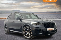 BMW X5 4x4 (18 on) xDrive30d MHT M Sport Auto 5d For Sale - Tangelo Used Cars Exeter, Exeter