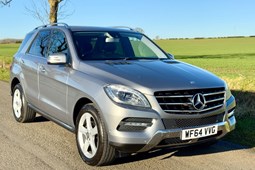 Mercedes-Benz M-Class (12-15) ML250 CDi BlueTEC SE Executive 5d Auto For Sale - Windmill Motors Ltd, Bourne