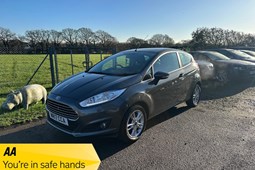 Ford Fiesta (08-17) 1.25 (82bhp) Zetec 3d For Sale - MJ Saxby Ltd, Henfield