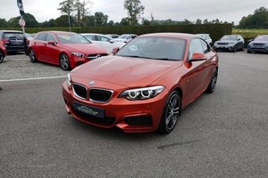 BMW 2-Series Coupe (14-21) 218i M Sport (07/17 on) 2d For Sale - Colin Francis Cars, Magherafelt