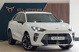 Cupra Terramar SUV (24 on) 2.0 TSI 265 VZ1 5dr DSG 4Drive For Sale - Arnold Clark Click & Collect Exeter, Exeter