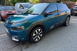 Citroen C4 Cactus Hatchback (18-20) Flair PureTech 110 S&S 5d For Sale - Maidstone Car Company, Maidstone