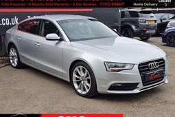 Audi A5 Sportback (09-16) 2.0 TDIe (136bhp) SE Technik (5 Seat) 5d For Sale - ARJ MOTORS, Addlestone