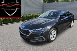 Skoda Octavia Hatchback (20 on) 1.0 TSI SE First Edition 5d For Sale - Meridian Motors Limited, Bathgate