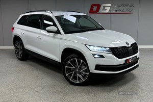 Skoda Kodiaq SUV (17-23) Edition 2.0 TDI SCR 190PS 4x4 DSG auto (7 seats) 5d For Sale - DG Cars & 4X4 LTD, Sion mills