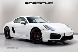 Porsche Cayman (13-16) 3.4 GTS 2d PDK For Sale - Agnew Porsche, Belfast