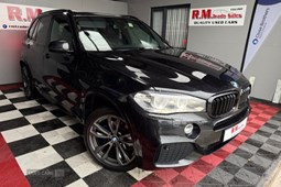 BMW X5 4x4 (13-18) xDrive30d M Sport 5d Auto For Sale - RM Trade Sales, Dungannon