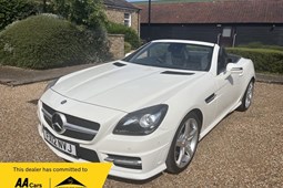 Mercedes-Benz SLK Roadster (11-16) 250 BlueEFF AMG Sport Edition 125 2d Tip Auto For Sale - Max Bradley Cars, Maldon