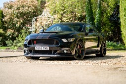 Ford Mustang (15-24) 5.0 V8 GT 2d For Sale - Pilgrim Motor Sports Ltd, Brighton