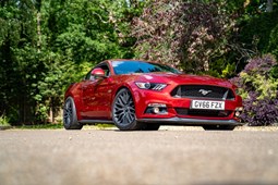 Ford Mustang (15-24) 5.0 V8 GT 2d For Sale - Pilgrim Motor Sports Ltd, Brighton
