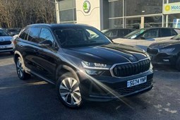 Skoda Kodiaq SUV (24 on) 2.0 TDI SE L 5dr DSG [7 Seat] For Sale - D M Keith SKODA Bradford, Bradford