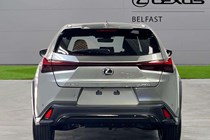 Lexus UX SUV (18 on) 300h 2.0 F-Sport Design 5dr CVT For Sale - Lexus Belfast, Belfast