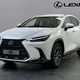 Lexus NX SUV (21 on) 450h+ 2.5 Premium 5dr E-CVT For Sale - Lexus Belfast, Belfast