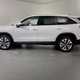 Skoda Kodiaq SUV (24 on) 2.0 TDI SE L 5dr DSG [7 Seat] For Sale - Lookers Skoda Guildford, Guildford