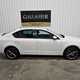Skoda Octavia vRS (13-17) 2.0 TDI CR vRS Hatchback 5d DSG For Sale - Gallagher Cars LTD, Derry