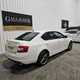 Skoda Octavia vRS (13-17) 2.0 TDI CR vRS Hatchback 5d DSG For Sale - Gallagher Cars LTD, Derry