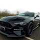 Ford Mustang (15-24) 5.0 V8 GT auto (04/2018 on) 2d For Sale - The Essex Car Group, Leaden Roding