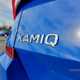 Skoda Kamiq SUV (19 on) SE 1.0 TSI 95PS 5d For Sale - Howard Abraham, Lurgan