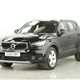 Volvo XC40 SUV (17 on) Momentum T3 FWD (04/19-) 5d For Sale - Carworld Superstore, Peterborough