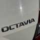 Skoda Octavia Hatchback (13-20) SE Technology 2.0 TDI 150PS (03/17 on) 5d For Sale - webuycarsformore com, Newcastle Upon Tyne