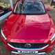 MG ZS SUV (17-24) 1.0T GDi Exclusive DCT 5d For Sale - Brown and Gammons Limited, Baldock