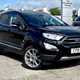 Ford EcoSport (14 on) Titanium 1.0 EcoBoost 125PS (10/2017 on) 5d For Sale - The Brookside Garage, Cemaes Bay