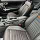 Ford Mustang (15-24) 5.0 V8 Mach 1 2dr Auto For Sale - Townsends of Rugby Ltd, Rugby