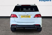 Mercedes-Benz GLE-Class 4x4 (15-19) GLE 250 d 4Matic AMG Line 5d 9G-Tronic For Sale - Vospers Ford Exeter, Exeter